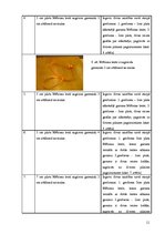 Referāts 'Brīnumainā lente', 11.