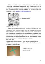 Referāts 'Brīnumainā lente', 30.