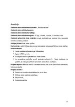 Referāts 'Brīnumainā lente', 37.