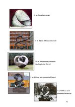 Referāts 'Brīnumainā lente', 41.