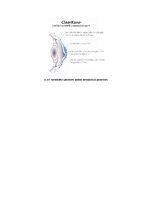 Konspekts 'Redzes korekcijas veids - kontaktlēcas', 6.