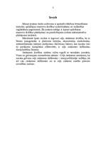 Prakses atskaite 'Apdzīšanas manevra drošības nodrošināšana', 2.