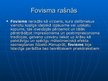 Prezentācija 'Fovisms', 4.