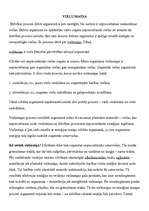 Konspekts 'Vielu maiņa', 1.