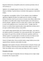 Konspekts 'Vielu maiņa', 3.