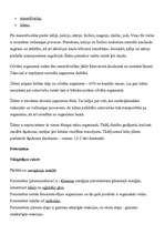 Konspekts 'Vielu maiņa', 4.