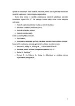 Referāts 'Ražošanas operatīvā plānošana dzelzsbetona ražotnē "X"', 5.