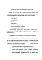 Referāts 'Ražošanas operatīvā plānošana dzelzsbetona ražotnē "X"', 14.