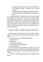 Referāts 'Ražošanas operatīvā plānošana dzelzsbetona ražotnē "X"', 15.