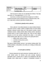 Referāts 'Ražošanas operatīvā plānošana dzelzsbetona ražotnē "X"', 19.