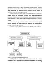 Referāts 'Ražošanas operatīvā plānošana dzelzsbetona ražotnē "X"', 20.