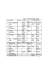 Referāts 'Ražošanas operatīvā plānošana dzelzsbetona ražotnē "X"', 23.