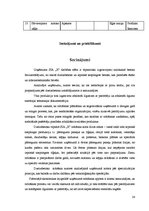 Referāts 'Ražošanas operatīvā plānošana dzelzsbetona ražotnē "X"', 24.