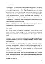 Referāts 'Loga apģērbs', 8.