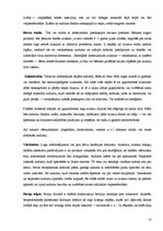 Referāts 'Loga apģērbs', 13.