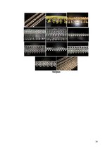 Referāts 'Loga apģērbs', 24.