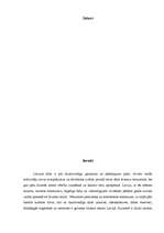 Konspekts 'Tūrisma maršruts pa Kurzemi', 2.