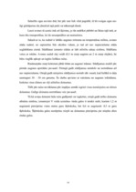 Referāts 'Aveņu saimniecības attīstības iespējas', 19.