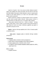 Referāts 'Vadītājs un darbinieks - veiksmīgu attiecību modeļa izstrāde', 3.