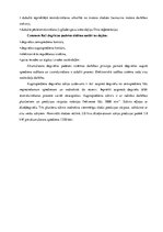 Referāts 'Common Rail degvielas iesmidzināšanas sistēma', 4.