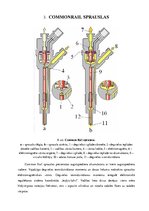 Referāts 'Common Rail degvielas iesmidzināšanas sistēma', 12.
