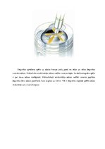 Referāts 'Common Rail degvielas iesmidzināšanas sistēma', 14.