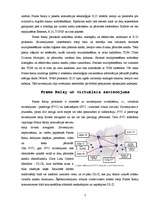 Referāts 'Frame Relay tehnoloģiju risinājumi', 3.