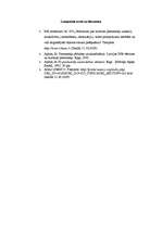 Referāts 'Kultūras mantojuma noteikšanas kritēriji vēsturiskā skatījumā, to saistība ar po', 7.