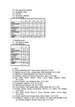 Referāts 'Iespējamā cenzūra filmas "Putina sistēma" demonstrēšanas gadījumā', 10.