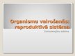 Prezentācija 'Organismu vairošanās. Reproduktīvā sistēma', 1.