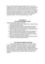 Konspekts 'Skrituļslidošana', 2.