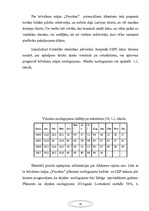Prezentācija 'Mārketinga projekts', 13.