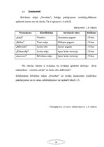 Prezentācija 'Mārketinga projekts', 17.