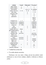 Prezentācija 'Mārketinga projekts', 18.