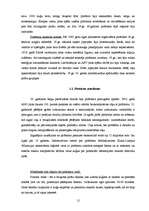 Diplomdarbs 'Pretpirātisma pasākumi drošības paaugstināšanai uz kuģiem', 12.