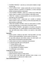 Diplomdarbs 'Pretpirātisma pasākumi drošības paaugstināšanai uz kuģiem', 31.