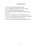 Referāts 'PET pudeļu apsaimniekošana', 25.