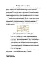 Referāts 'Informāciju tehnoloģiju attīstība pasaulē un Latvijā', 25.