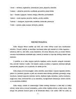 Referāts 'Krāsu terapija', 7.