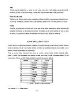 Referāts 'Krāsu terapija', 13.