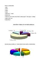 Referāts 'Krāsu terapija', 14.