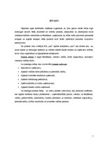 Prakses atskaite 'Profesionālās prakses atskaite', 7.