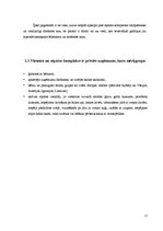 Prakses atskaite 'Profesionālās prakses atskaite', 11.