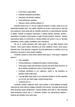 Prakses atskaite 'Profesionālās prakses atskaite', 13.