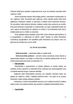 Prakses atskaite 'Profesionālās prakses atskaite', 17.