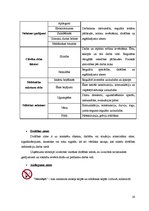 Prakses atskaite 'Profesionālās prakses atskaite', 19.