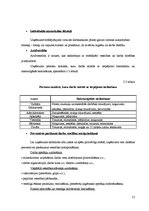 Prakses atskaite 'Profesionālās prakses atskaite', 21.