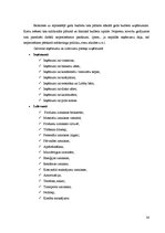 Prakses atskaite 'Profesionālās prakses atskaite', 38.