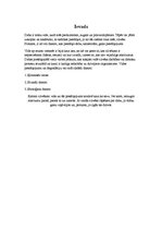 Referāts 'Dabas piesārņošana', 3.