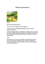 Referāts 'Dabas piesārņošana', 5.